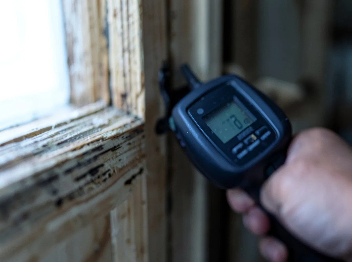 Water Damage Restoration La Joya, NM FAQs